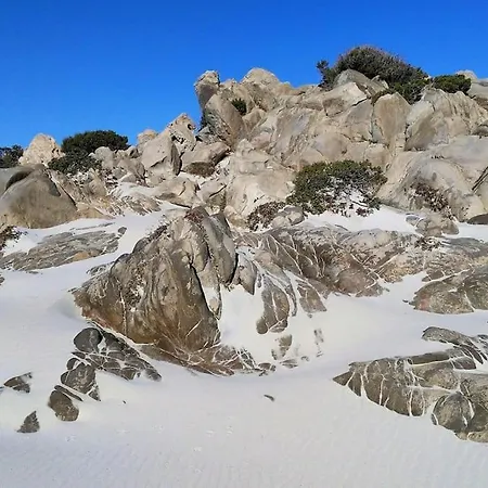 I Mandorli 1 Con Giardino בית נופש