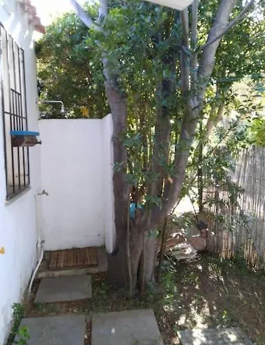 בית נופש I Mandorli 1 Con Giardino וילסימיוס