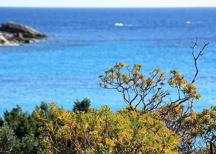 Nyaraló I Mandorli 1 Con Giardino *