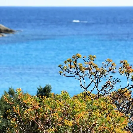 Vakantiehuis I Mandorli 1 Con Giardino *